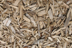 biomass boilers Breacleit